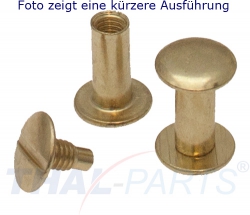 100er Pack Buchschrauben Chicagoschrauben 95mm Kopf 10mm Gold