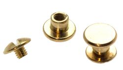 10er Pack Buchschrauben Chicagoschrauben 4mm Kopf 7mm Gold