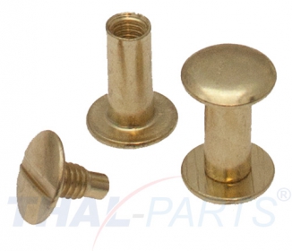 100er Pack Buchschrauben Chicagoschrauben 12mm Kopf 10mm Gold