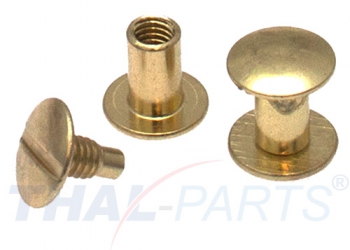 10er Pack Buchschrauben Chicagoschrauben 8mm Kopf 10mm Gold